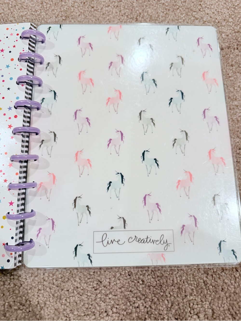 Happy Planner BIG Wellness Health Planner Bundle Stickers Purple Discs - Picture 7 of 13